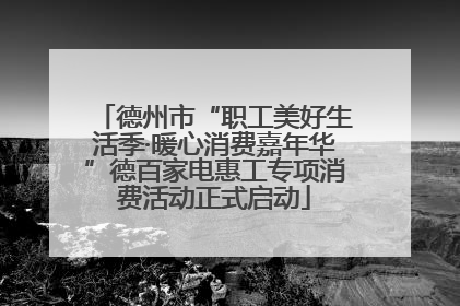 德州市“职工美好生活季·暖心消费嘉年华”德百家电惠工专项消费活动正式启动