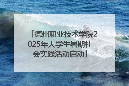 德州职业技术学院2025年大学生暑期社会实践活动启动