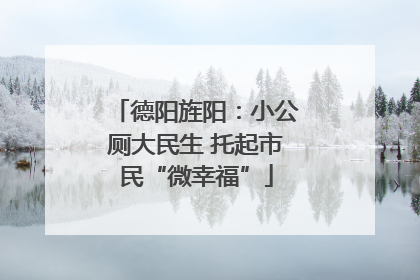 德阳旌阳：小公厕大民生 托起市民“微幸福”
