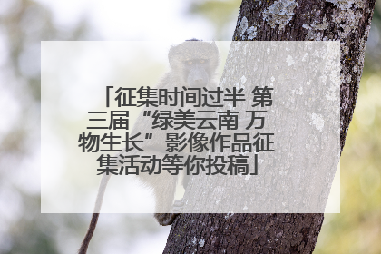 征集时间过半 第三届“绿美云南 万物生长”影像作品征集活动等你投稿