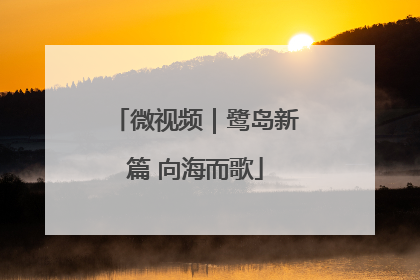 微视频｜鹭岛新篇 向海而歌