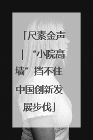 尺素金声｜“小院高墙”挡不住中国创新发展步伐