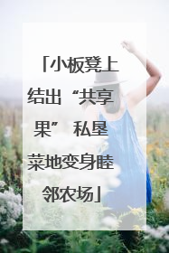 小板凳上结出“共享果” 私垦菜地变身睦邻农场