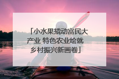 小水果撬动富民大产业 特色农业绘就乡村振兴新画卷