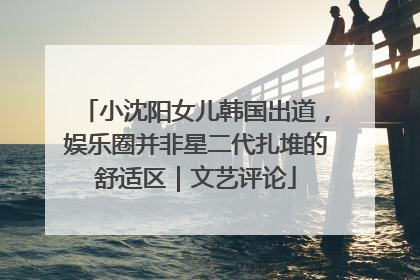小沈阳女儿韩国出道，娱乐圈并非星二代扎堆的舒适区｜文艺评论
