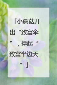 小蘑菇开出“致富伞”，撑起“致富半边天”