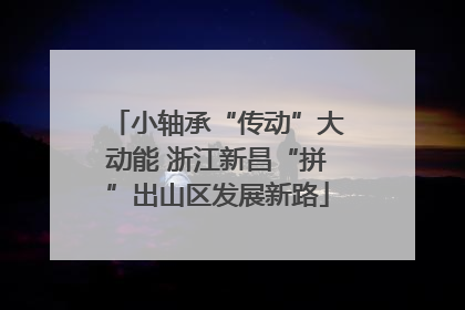 小轴承“传动”大动能 浙江新昌“拼”出山区发展新路