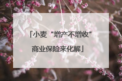 小麦“增产不增收” 商业保险来化解