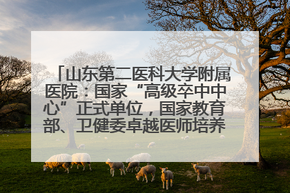 山东第二医科大学附属医院：国家“高级卒中中心”正式单位，国家教育部、卫健委卓越医师培养改革项目单位