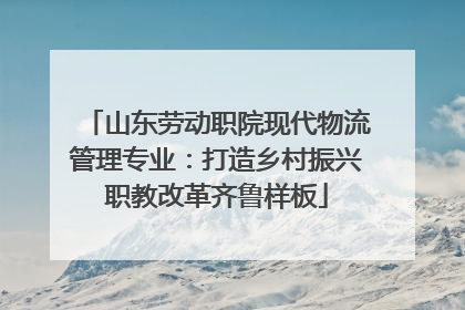 山东劳动职院现代物流管理专业：打造乡村振兴职教改革齐鲁样板