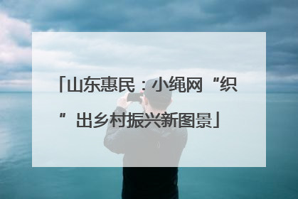 山东惠民：小绳网“织”出乡村振兴新图景