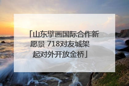 山东擘画国际合作新愿景 718对友城架起对外开放金桥