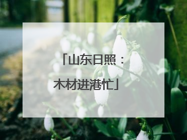 山东日照：木材进港忙