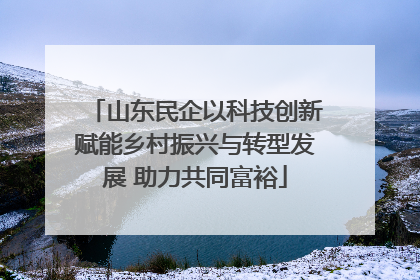 山东民企以科技创新赋能乡村振兴与转型发展 助力共同富裕