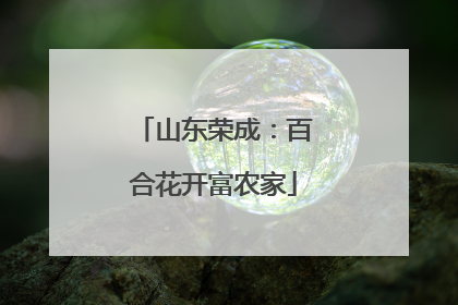 山东荣成：百合花开富农家