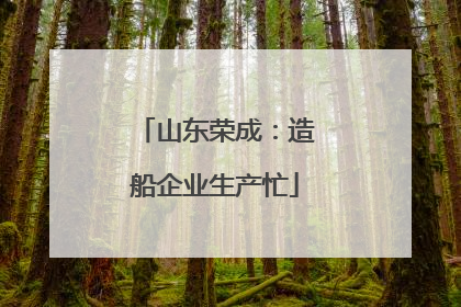 山东荣成：造船企业生产忙