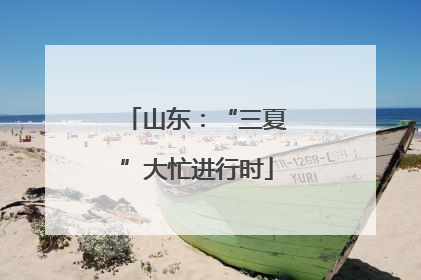 山东：“三夏”大忙进行时