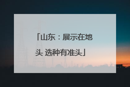 山东：展示在地头 选种有准头