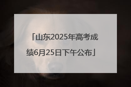 山东2025年高考成绩6月25日下午公布