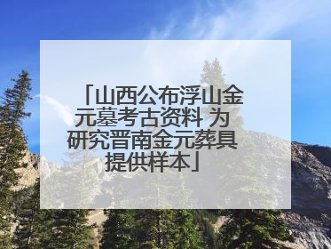 山西公布浮山金元墓考古资料 为研究晋南金元葬具提供样本