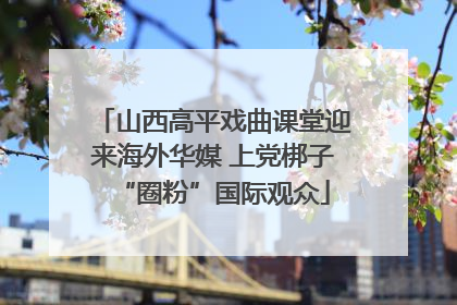 山西高平戏曲课堂迎来海外华媒 上党梆子“圈粉”国际观众