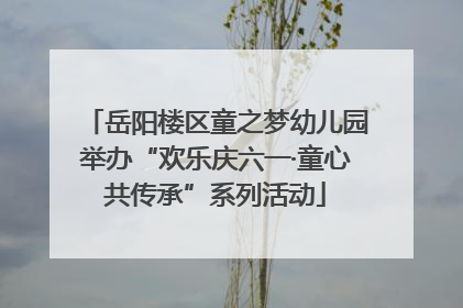 岳阳楼区童之梦幼儿园举办“欢乐庆六一·童心共传承”系列活动