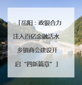 岳阳：政银合力注入百亿金融活水 乡镇商会建设开启“四新篇章”