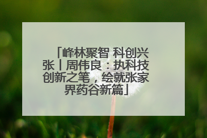 峰林聚智 科创兴张丨周伟良：执科技创新之笔，绘就张家界药谷新篇