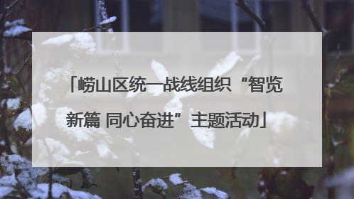 崂山区统一战线组织“智览新篇 同心奋进”主题活动