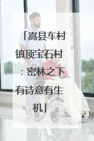 嵩县车村镇顶宝石村：密林之下有诗意有生机