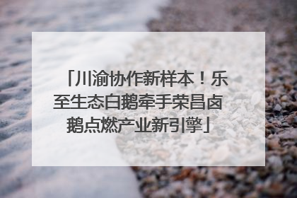 川渝协作新样本！乐至生态白鹅牵手荣昌卤鹅点燃产业新引擎