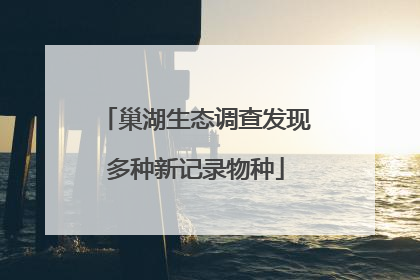 巢湖生态调查发现多种新记录物种