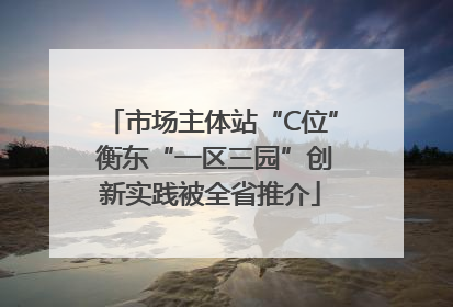 市场主体站“C位” 衡东“一区三园”创新实践被全省推介