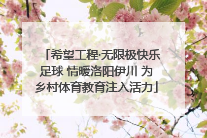 希望工程·无限极快乐足球 情暖洛阳伊川 为乡村体育教育注入活力