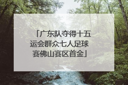 广东队夺得十五运会群众七人足球赛佛山赛区首金