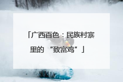 广西百色：民族村寨里的 “致富鸡”