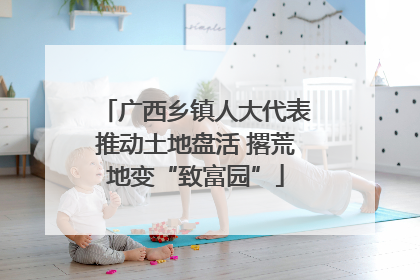 广西乡镇人大代表推动土地盘活 撂荒地变“致富园”