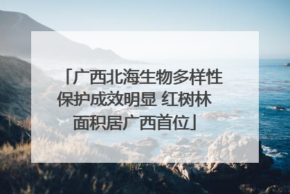广西北海生物多样性保护成效明显 红树林面积居广西首位