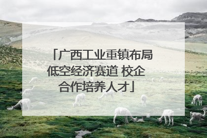 广西工业重镇布局低空经济赛道 校企合作培养人才