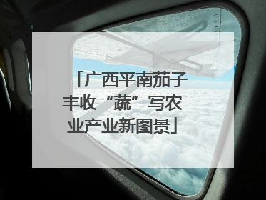 广西平南茄子丰收“蔬”写农业产业新图景