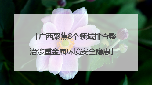 广西聚焦8个领域排查整治涉重金属环境安全隐患