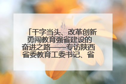 干字当头、改革创新 勇闯教育强省建设的奋进之路——专访陕西省委教育工委书记、省教育厅厅长王树声
