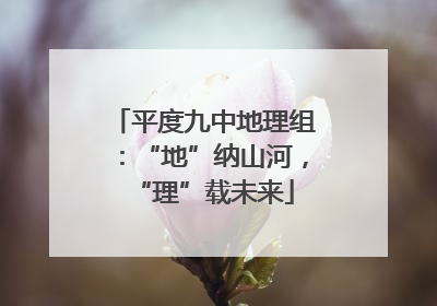 平度九中地理组：“地”纳山河，“理”载未来