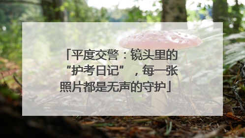 平度交警：镜头里的“护考日记”，每一张照片都是无声的守护