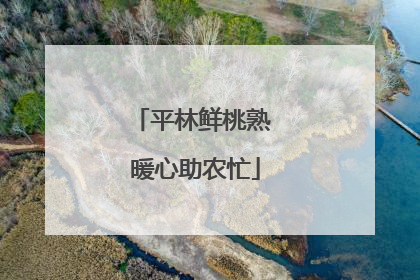 平林鲜桃熟 暖心助农忙