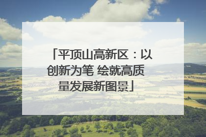 平顶山高新区：以创新为笔 绘就高质量发展新图景