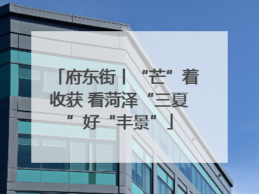 府东街丨“芒”着收获 看菏泽“三夏”好“丰景”