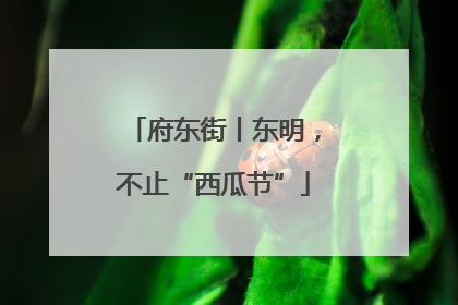 府东街丨东明，不止“西瓜节”
