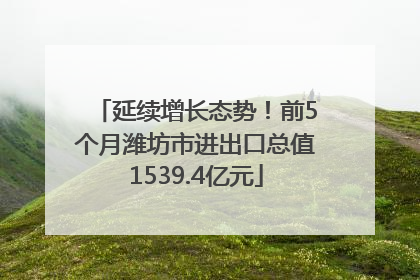 延续增长态势！前5个月潍坊市进出口总值1539.4亿元