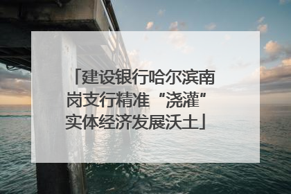 建设银行哈尔滨南岗支行精准“浇灌”实体经济发展沃土